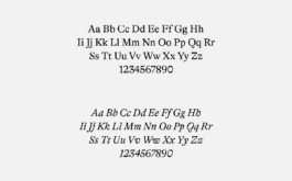 Karolina Leczkowski — Graphic Design & Art Direction